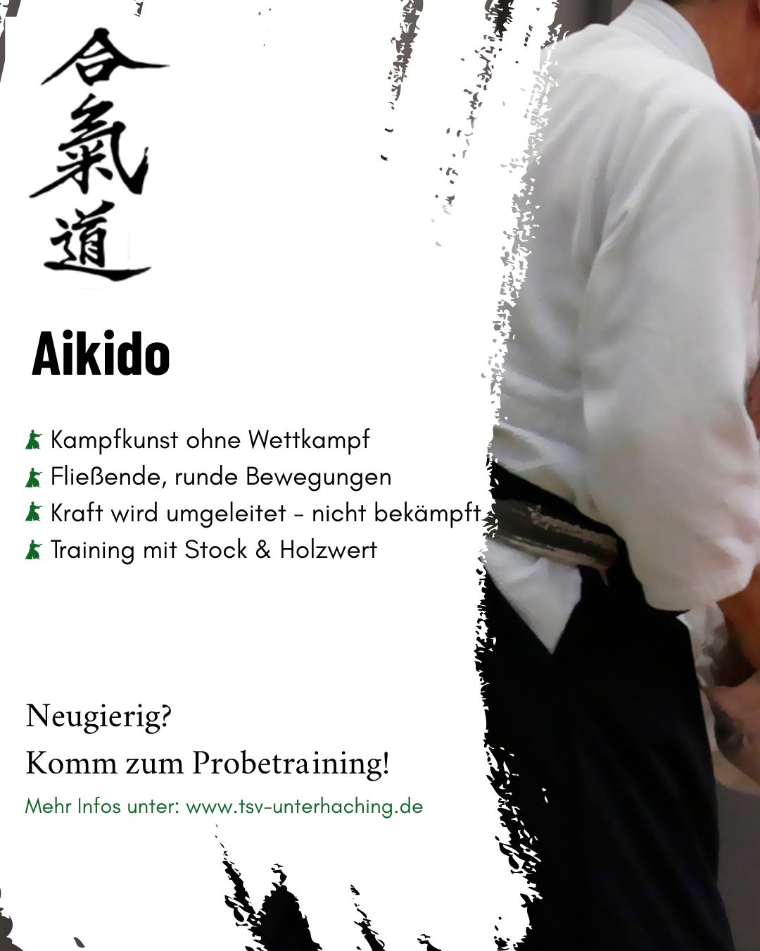 Aikido - der Weg zur Harmonie