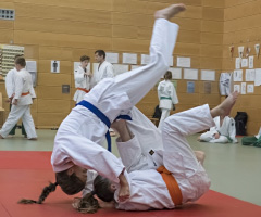 Judo-Gürtelprüfungen erfolgreich absolviert!