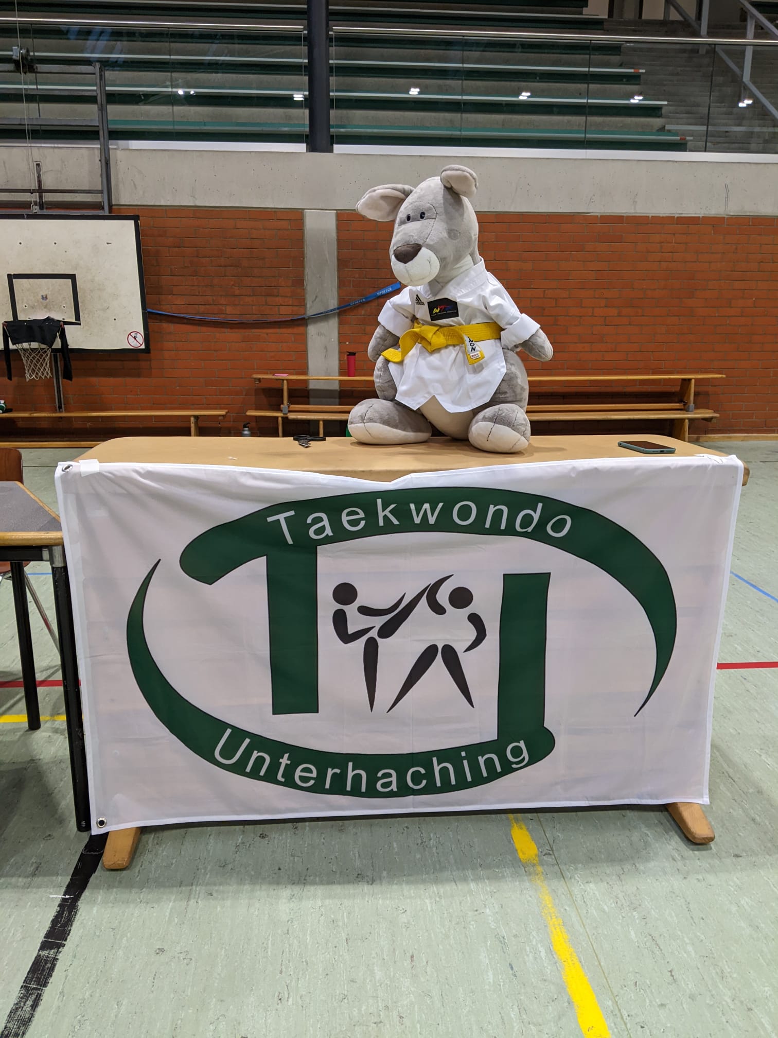 Taekwondo: Kup Prüfung Herbst 23