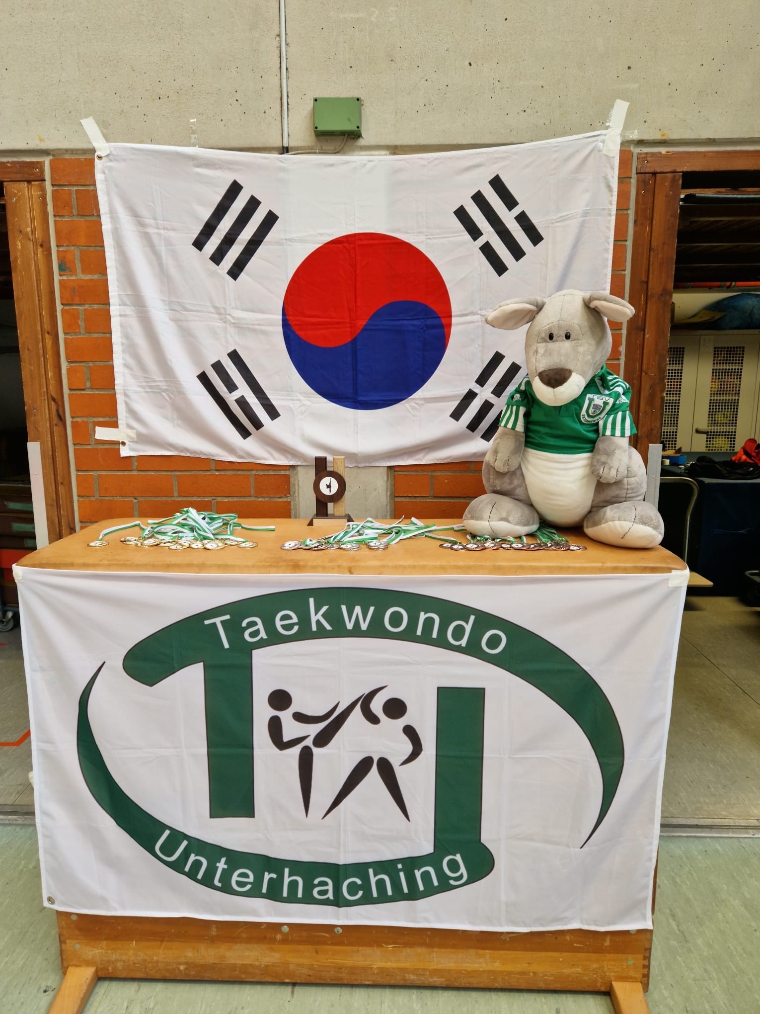 Taekwondo: 1. Vereinsturnier