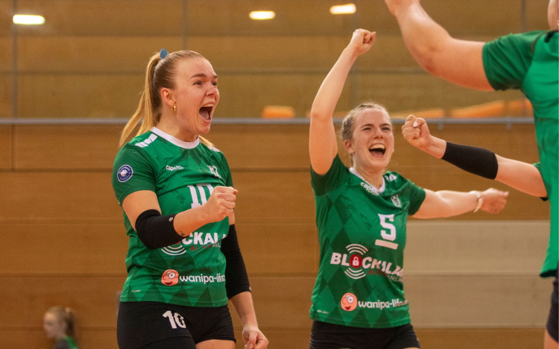 Hachinger Hasen auf dem Weg zum nächsten Bayernderby