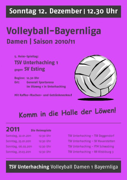 Plakat Heimspiel 12.12.2010